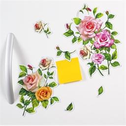 Magnets roses
